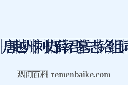 唐越州刺史薛君墓志铭组词是什么意思的图片